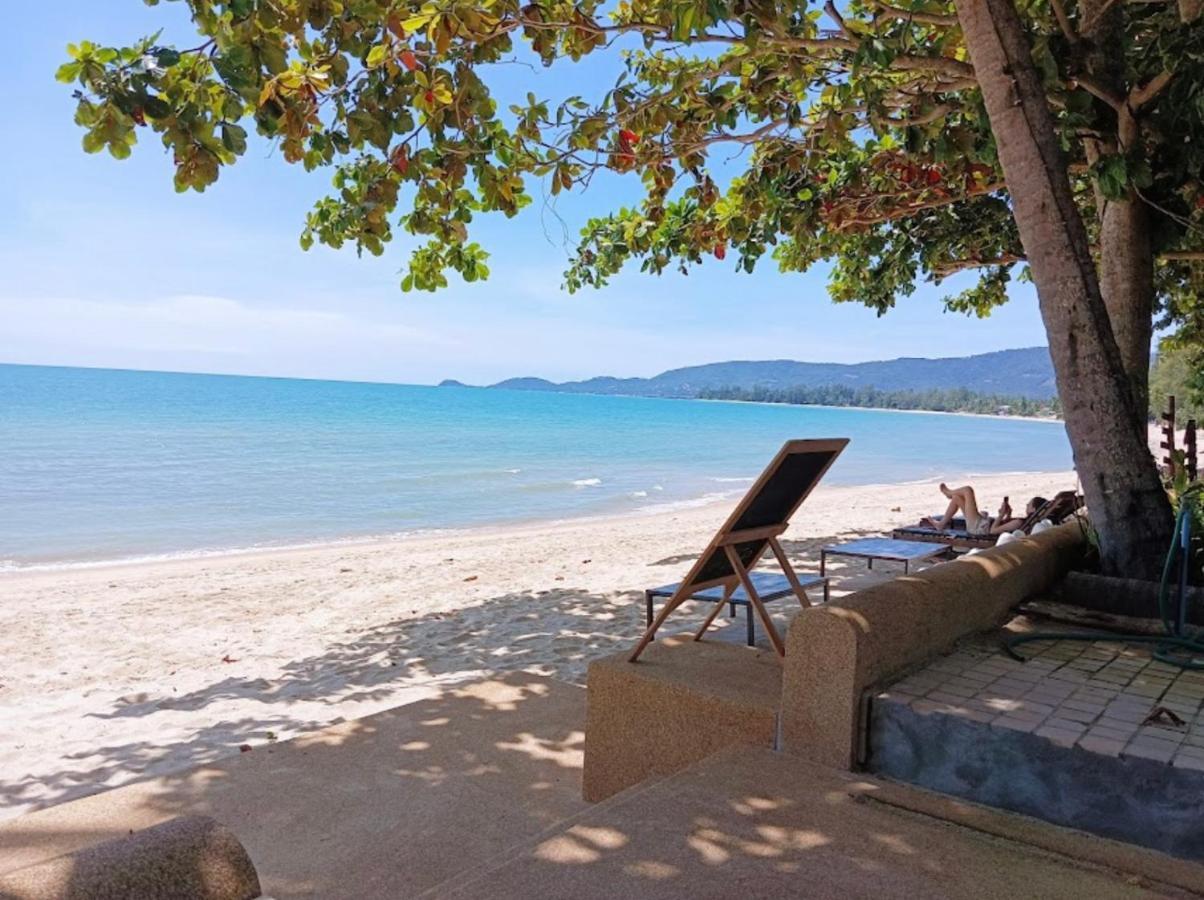 Chill Inn Lipa Noi Hostel And Beach Cafe Koh Samui Exteriör bild